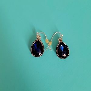 𝅺Blue Drop Earrings